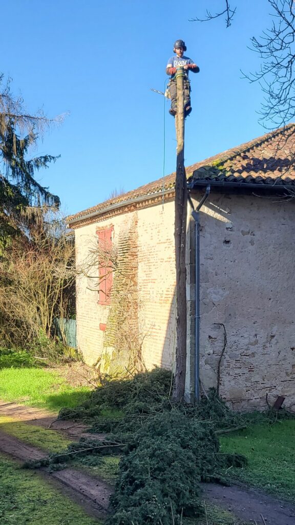 ARBO CASTI - Coupe d'arbre à Villeneuve-sur-Lot