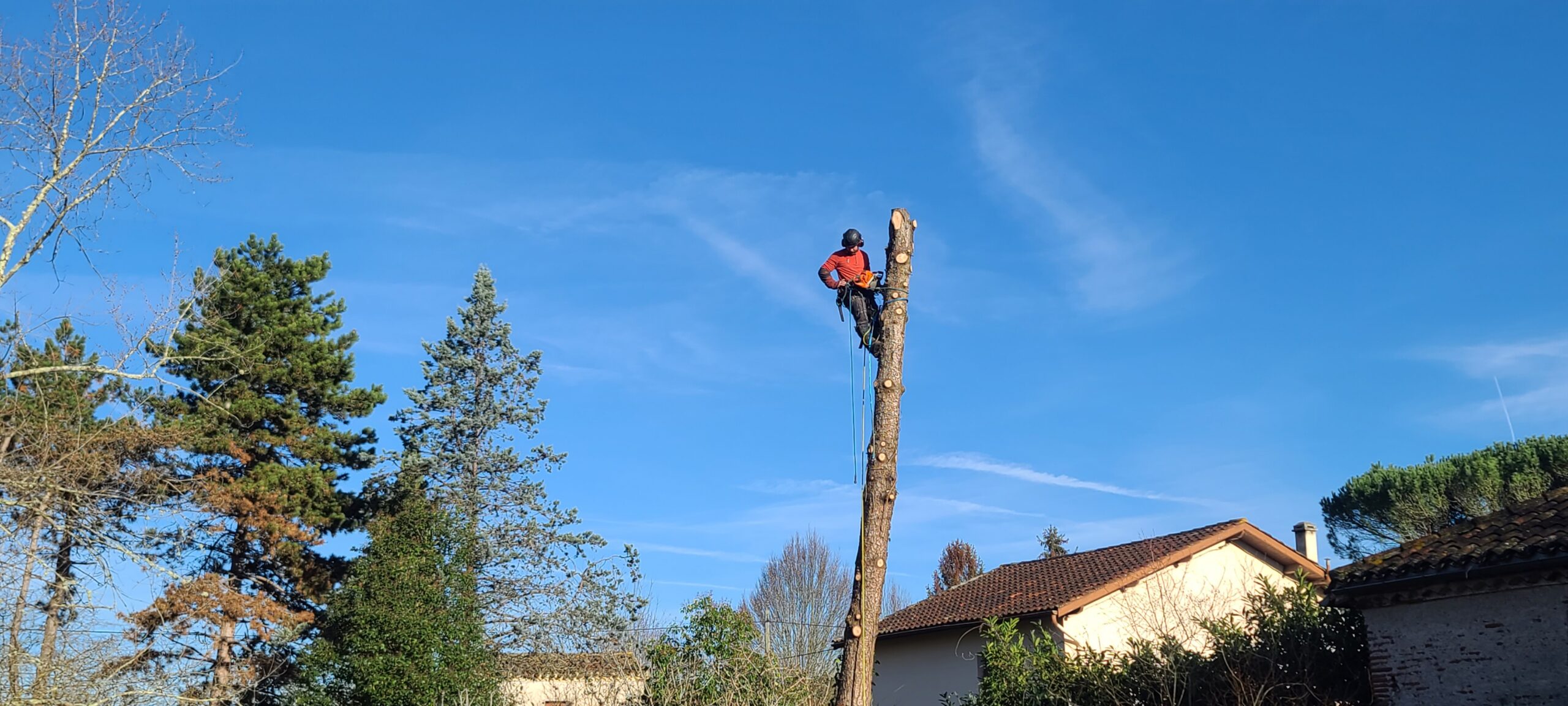 ARBO CASTI - Coupe d'arbre à Villeneuve-sur-Lot