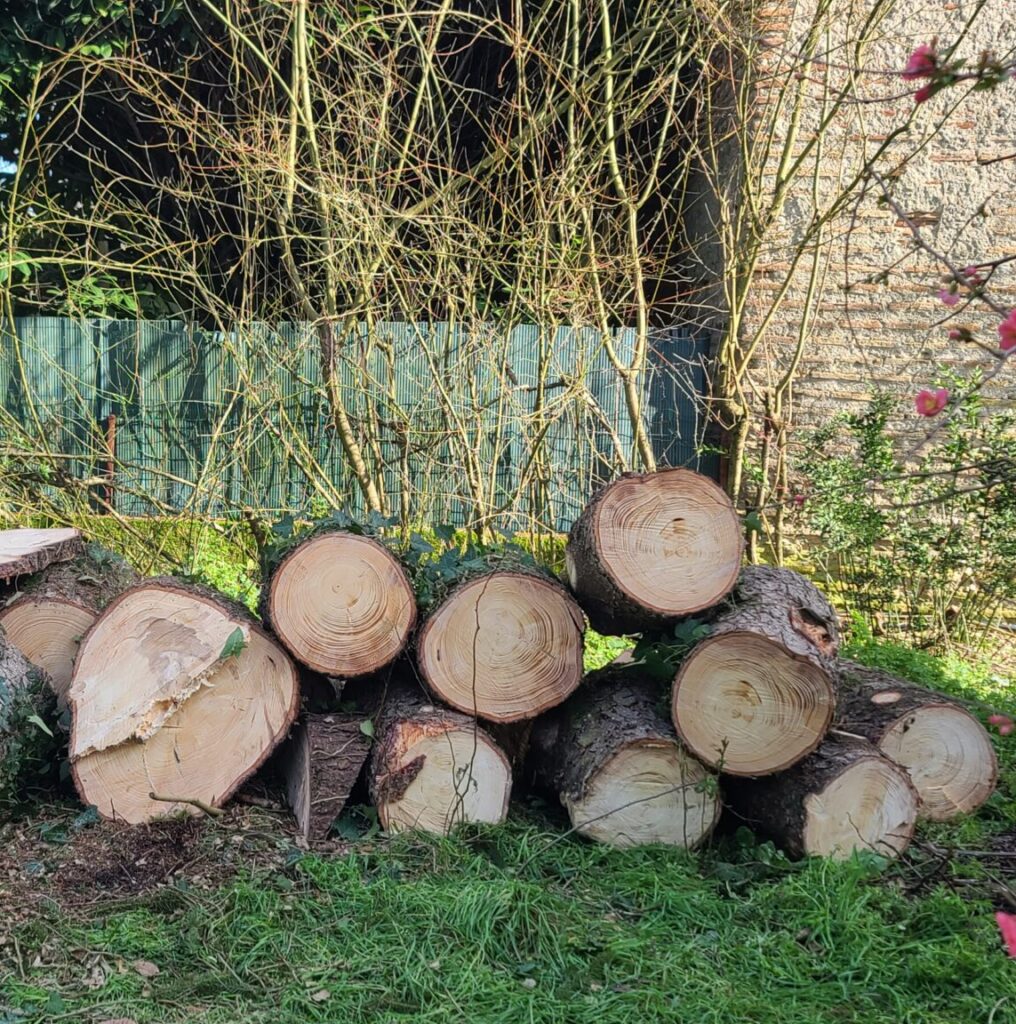 ARBO CASTI - Nettoyage et évacuation des déchets à Villeneuve-sur-Lot