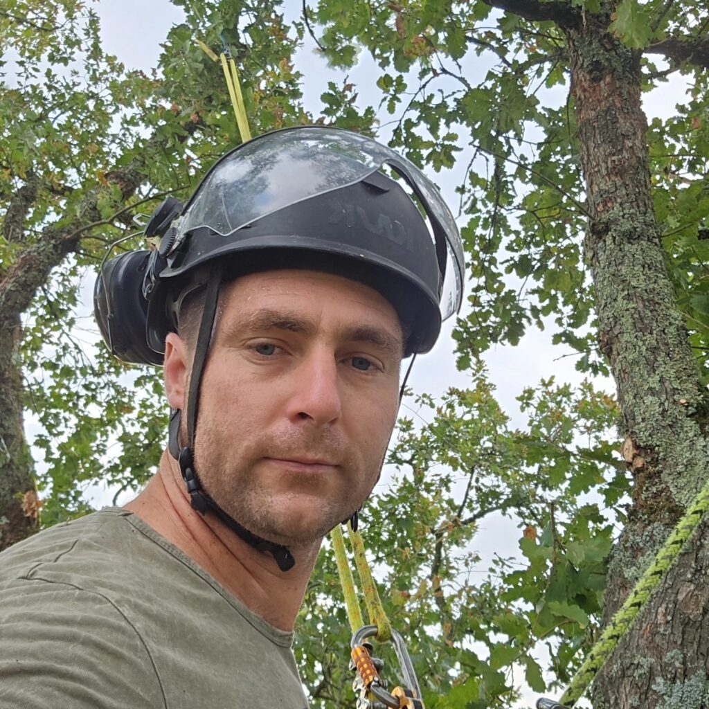 ARBO CASTI - Thibaut Ducasse