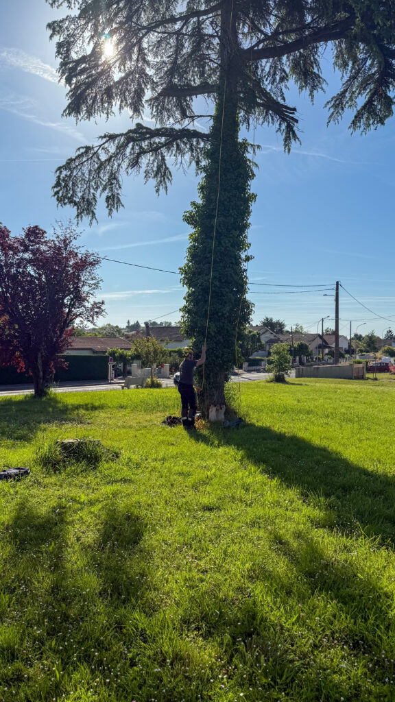 ARBO CASTI - Elagage d'arbre à Castillonnès
