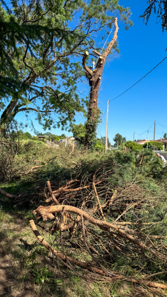 ARBO CASTI - Elagueur à Castillonnès