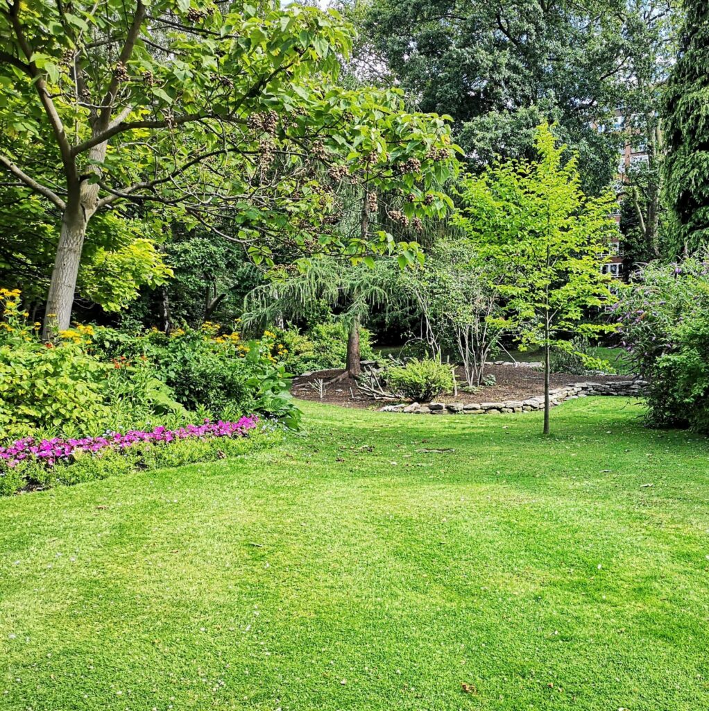 ARBO CASTI - Prestation d'élagage à Castillonnès