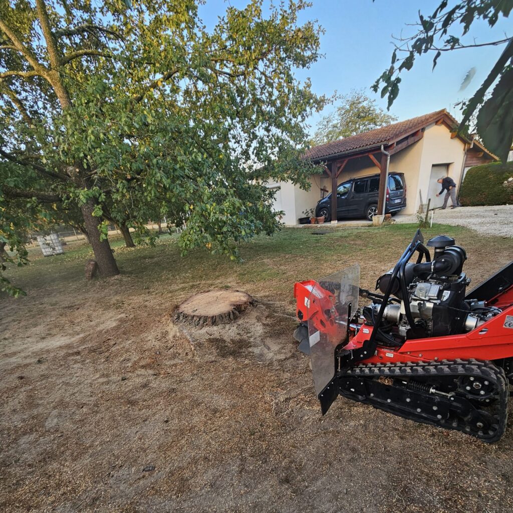 ARBO CASTI - Rognage de souche d'arbre à Bergerac